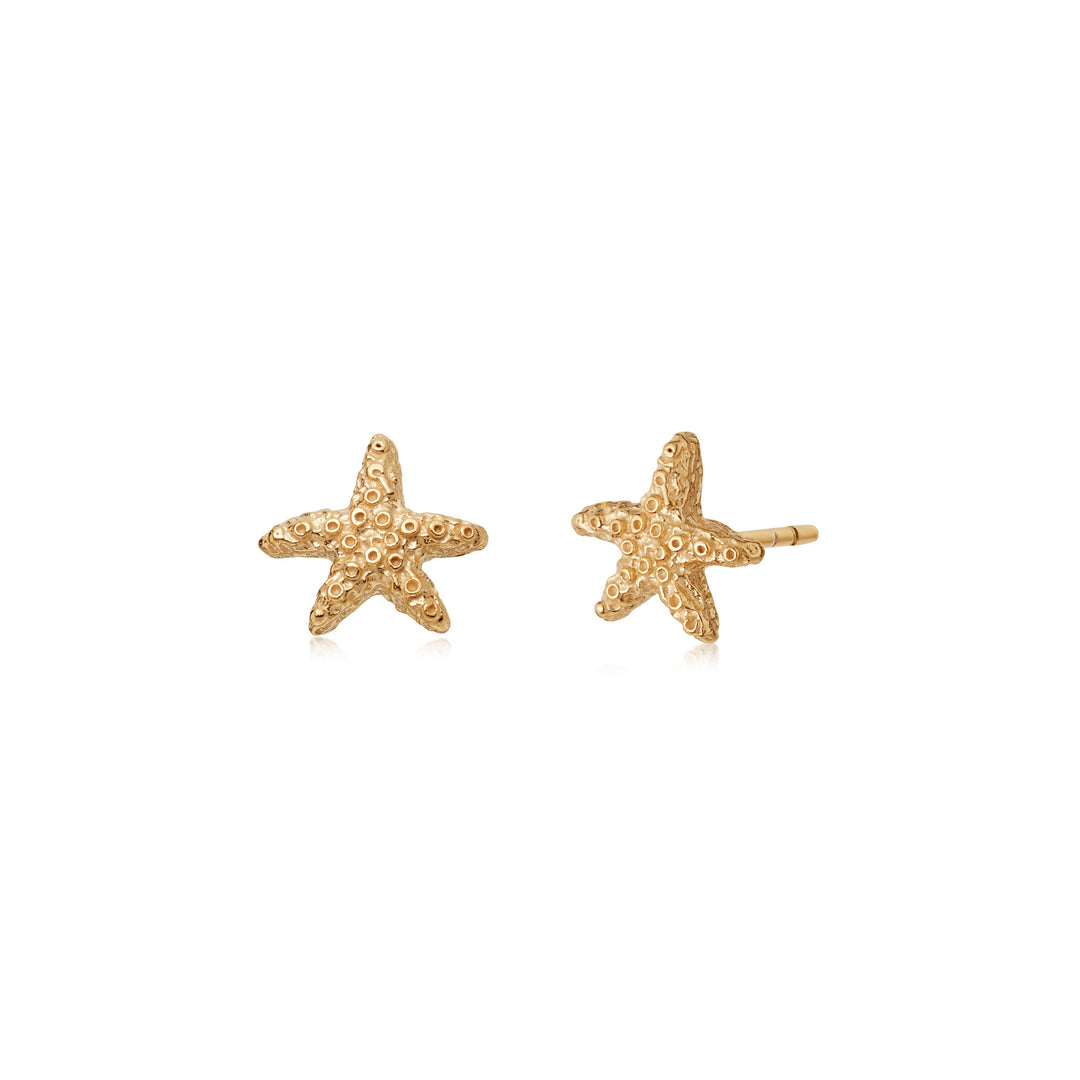 Daisy London |  Starfish Gold Plate Stud Earrings