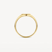 Blush Gold | 14K Yellow Gold Signet Ring