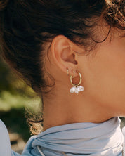 Edblad | Duo Pair Creoles Gold Plate