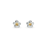 Kit Heath | Blossom Wood Rose Stud Earrings