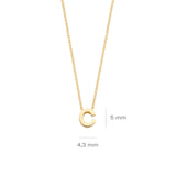 Blush Gold | 14K Gold Initial Necklace