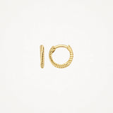 Blush Gold | 14K Yellow Gold 9mm Twist Hoop Earrings