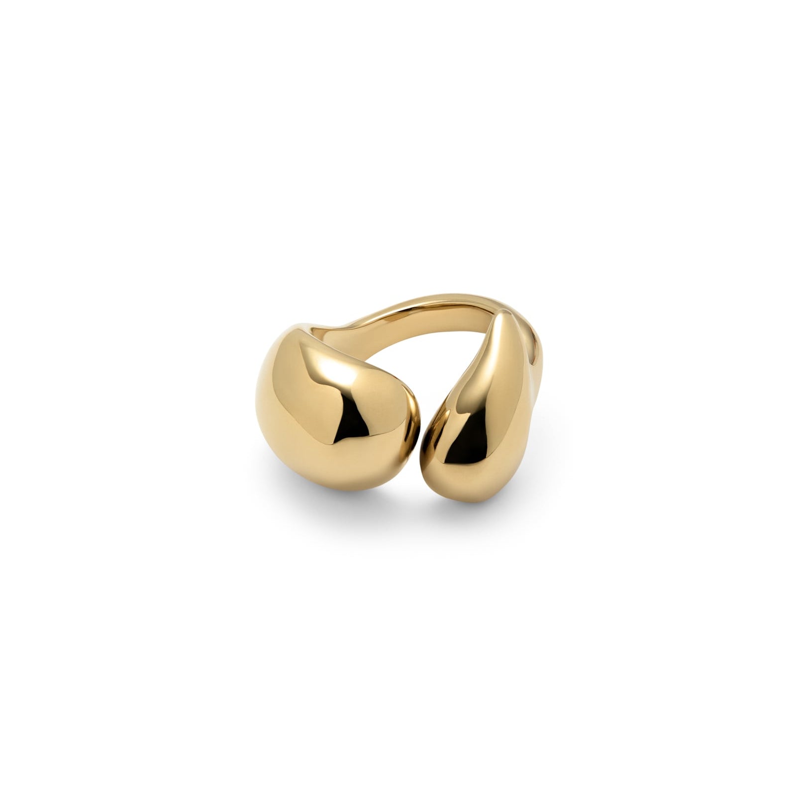 ANI0874ORO000_1.jpg