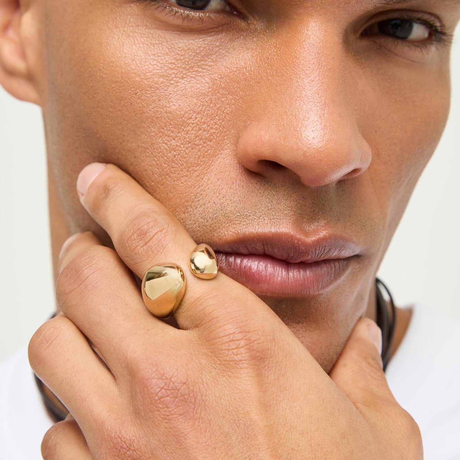 ANI0874ORO000_mod_1_hom.jpg