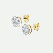 Creative Brilliance | Ava | 9ct Yellow Gold 1.00ct tw Lab Grown Diamond Earrings