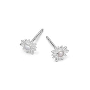 Daisy London | Mini Daisy Mother of Pearl Studs