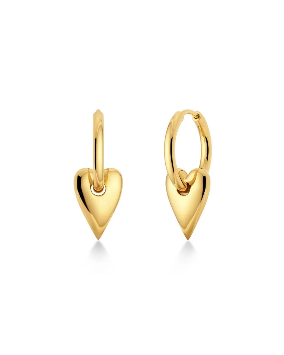 Edblad | Amore Hoops - Gold Plate