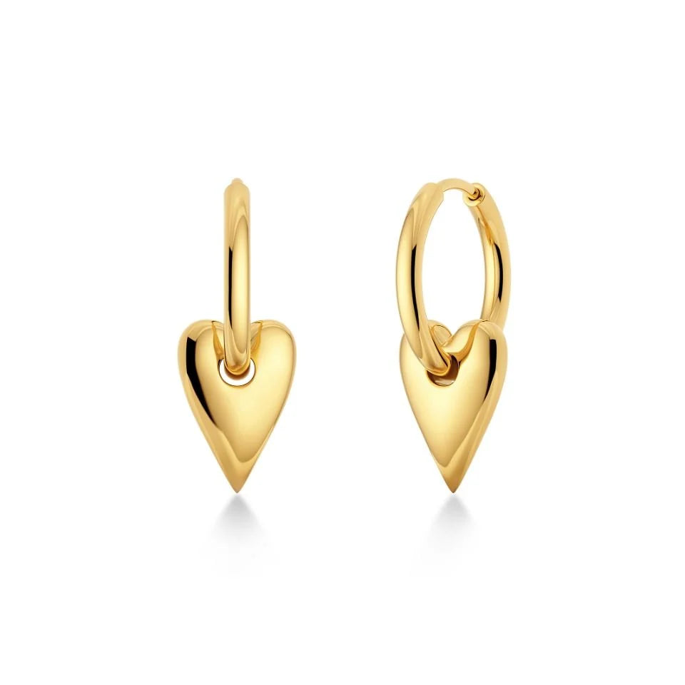 edblad-amore-hoops-s-gold-pi-129381.webp