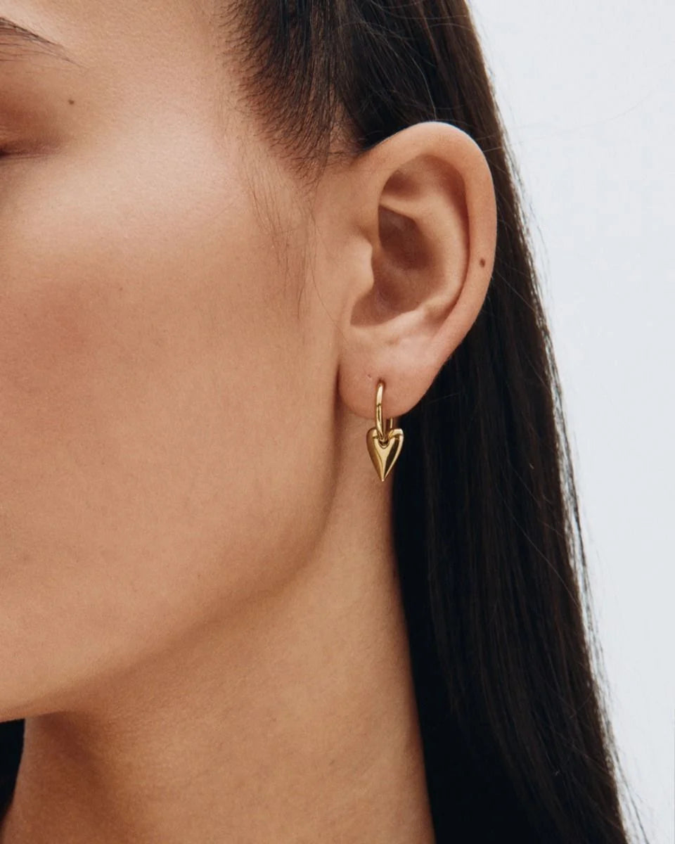 Edblad | Amore Hoops - Gold Plate