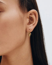 Edblad | Amore Hoops - Gold Plate