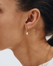 Edblad | Gemma Hoops - Gold Plate