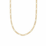 Daisy London | Estee Lalonde Figaro Chain - Gold Plate