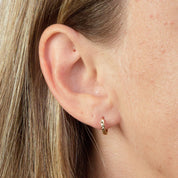 Penmans |  9ct Yellow Gold diamond cut hoop Earrings