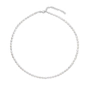 Penmans | White Rice Pearl Necklace
