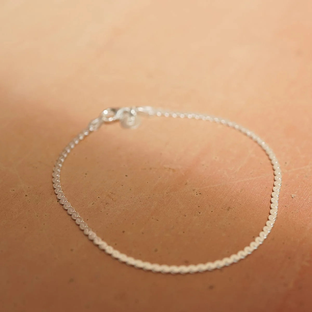spiral-snake-chain-bracelet-sterling-silver-bracelet-daisy-london-jewellery-1166656055_1944x_5cd6c705-0386-450b-b342-97f7e5bc631f.webp
