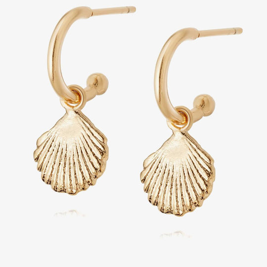 Daisy London |  Isla Shell Gold Plate Drop Earrings