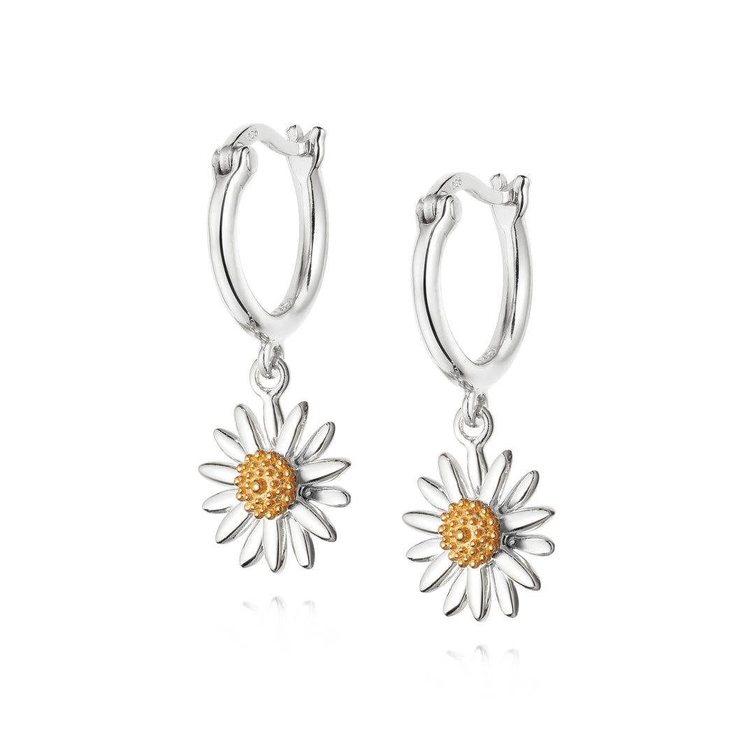 Daisy London |  Daisy 10mm drop earrings