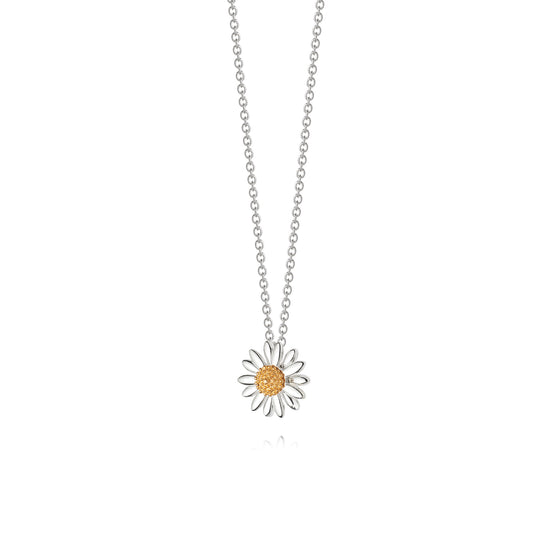 Daisy London |  Daisy 12mm Sterling Silver & 18ct Gold Plate Pendant Necklace