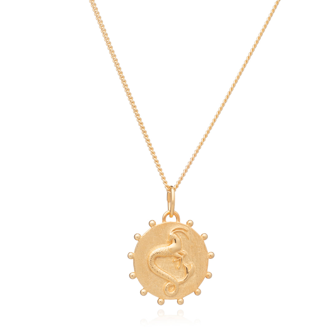 Rachel Jackson |  Zodiac Art - Capricorn - 22ct Gold Plated Sterling Silver Necklace