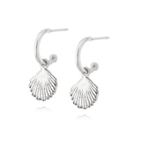 Daisy London |  Isla Shell Drop Earrings