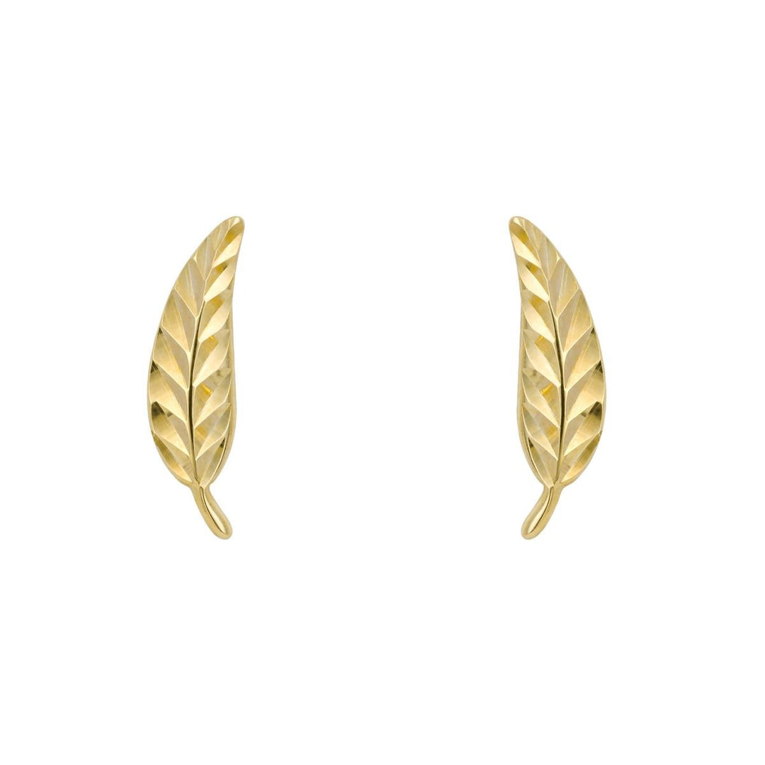 Penmans |  9ct Yellow Gold Feather Stud Earrings