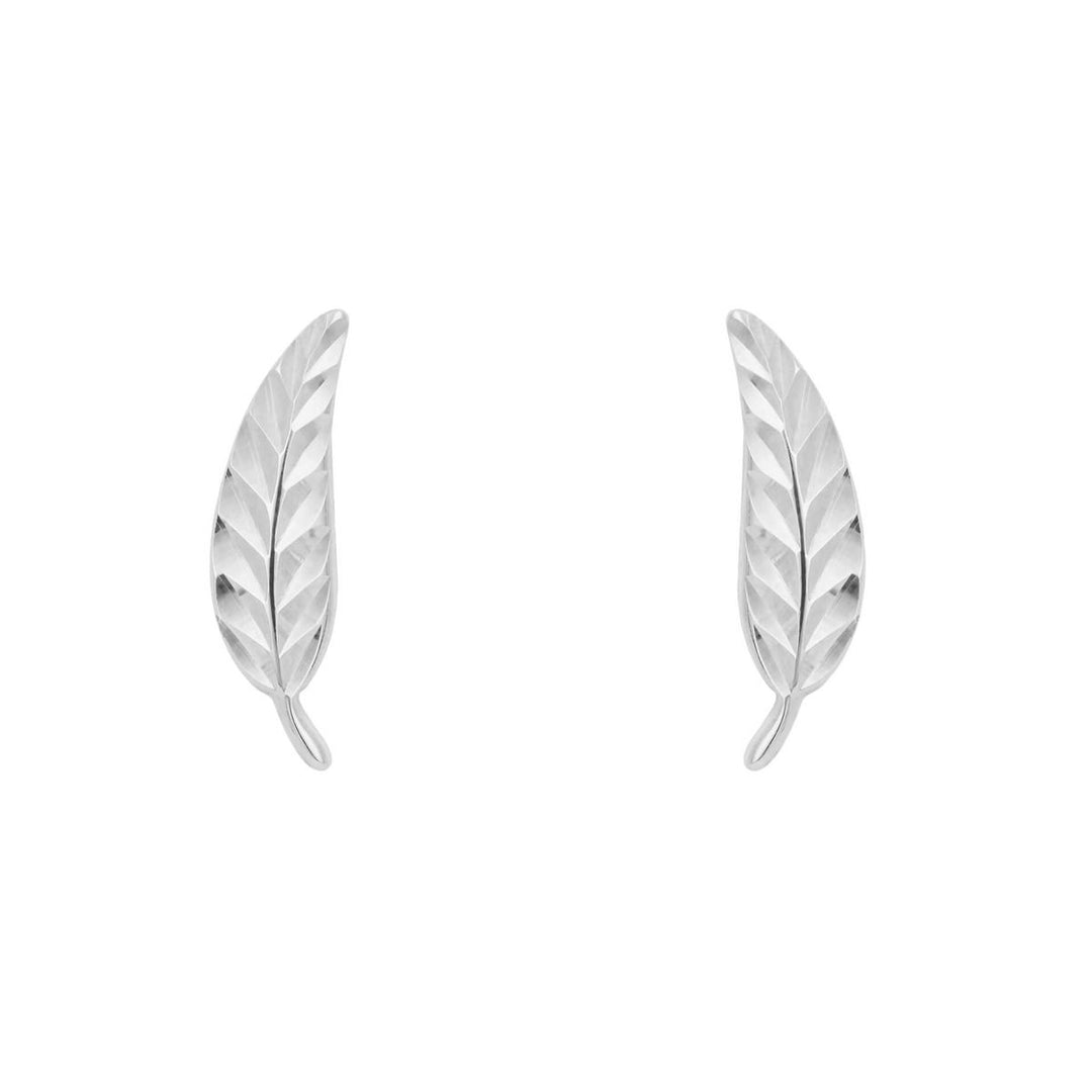Penmans |  9ct White Gold Feather Stud Earrings