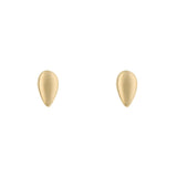 Penmans |  9ct Yellow Gold Teardrop Stud Earrings